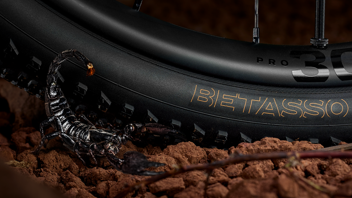 Bontrager Betasso RSL GX TLR Gravel Tyre