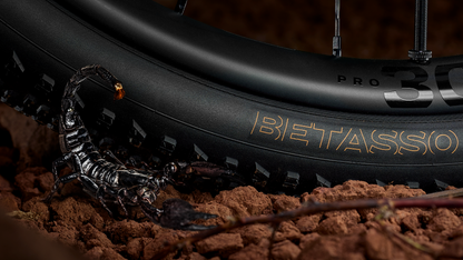 Bontrager Betasso RSL GX TLR Gravel Tyre
